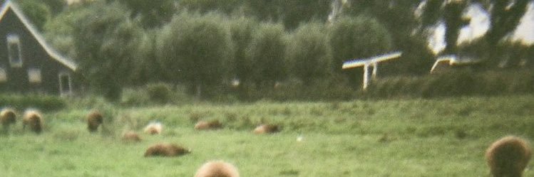 ChaidirIB's profile banner image