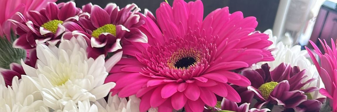 I'm too old for this shit 🇬🇧🇺🇲🇮🇱 banner