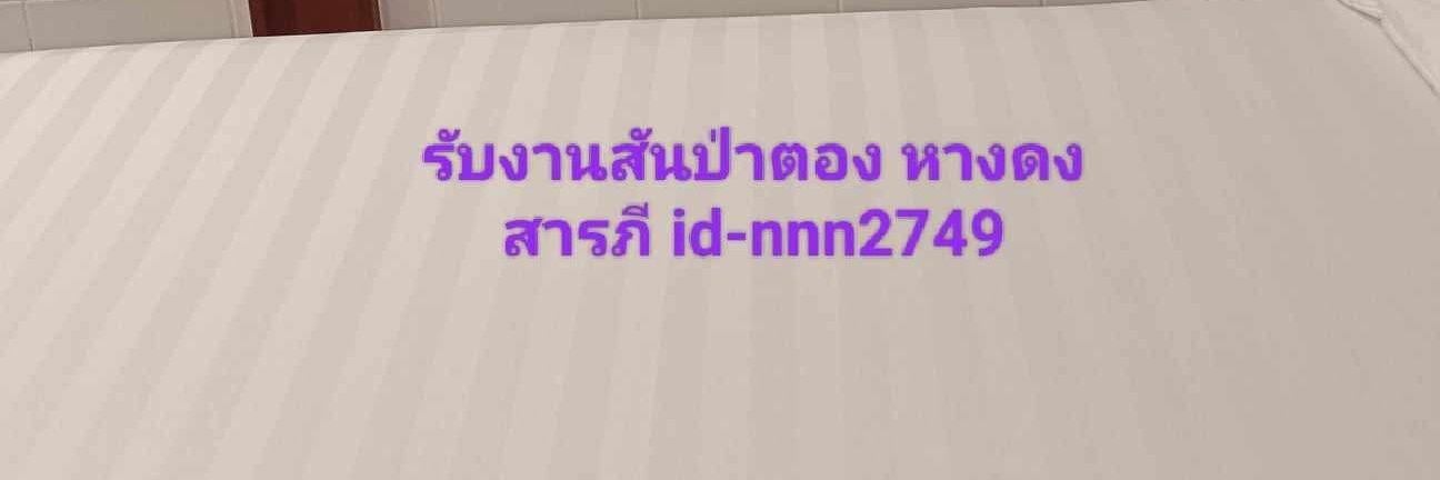 สาวใหญ่สุดแซ๊บเชียงใหม่ banner