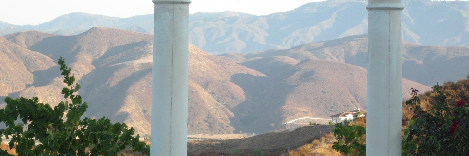 amain's profile banner image