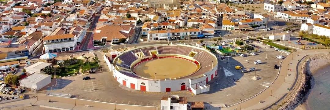 Steph des Ste Marie 🐓✝️🇨🇵 banner