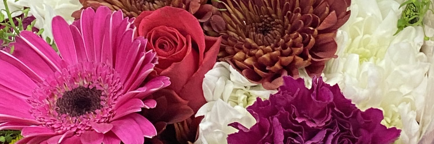 Sani1979's profile banner image