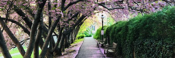 joe_z_zhang Profile Banner