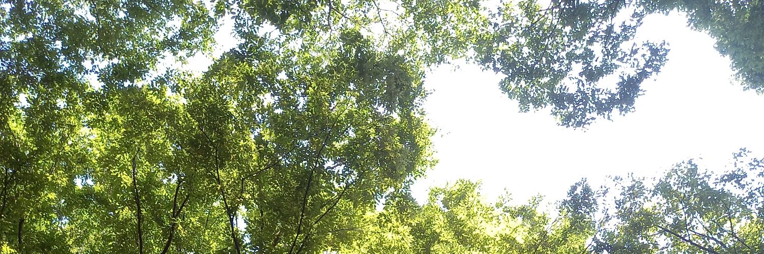 aitobeat73's profile banner image
