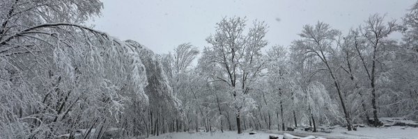ShreckTrina Profile Banner