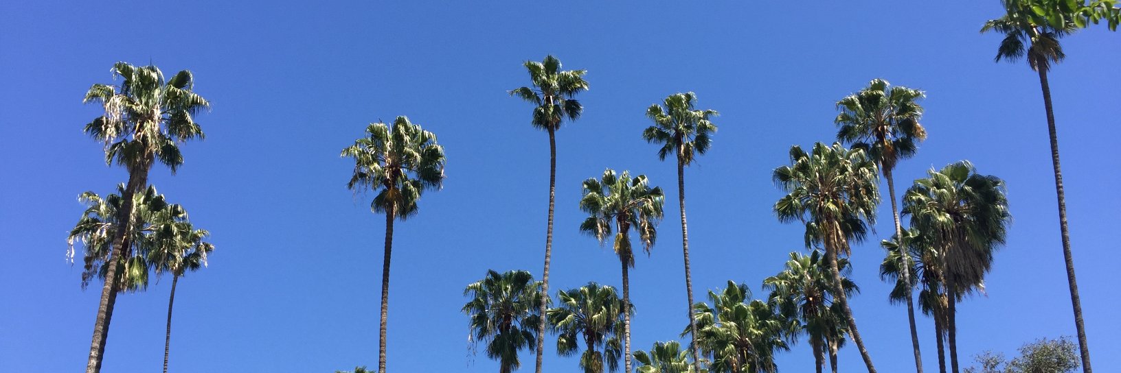 Genta Branstetter banner