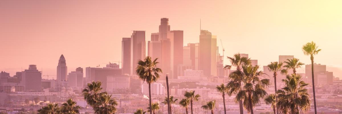 lcoral's profile banner image