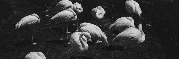 jackbevan Profile Banner