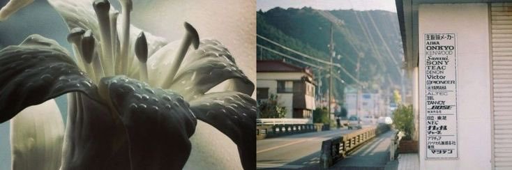 dani ✦ 🎭's banner