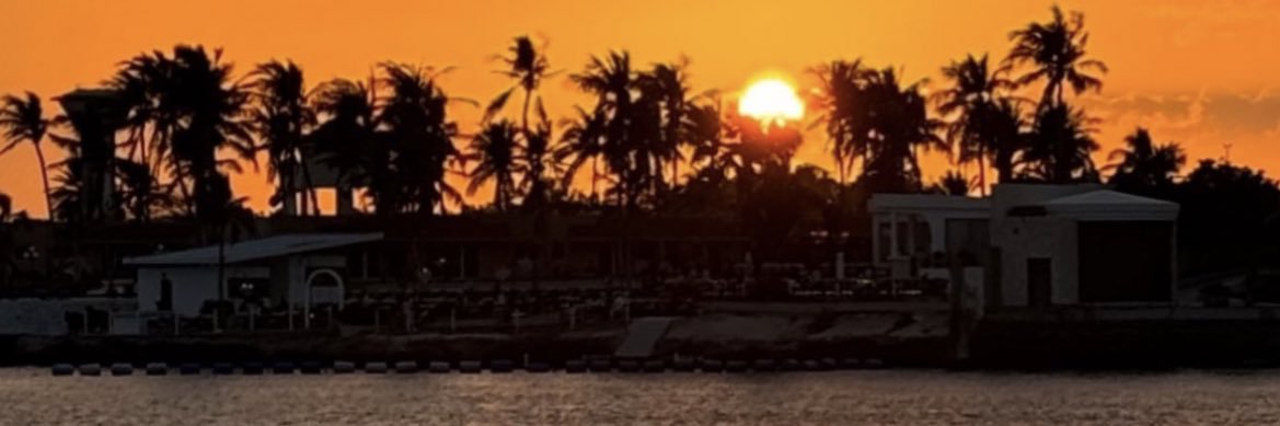 Roony banner