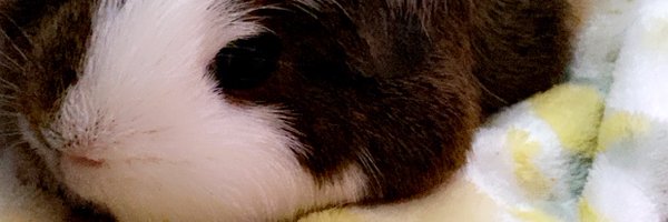 dawnMarie550904 Profile Banner