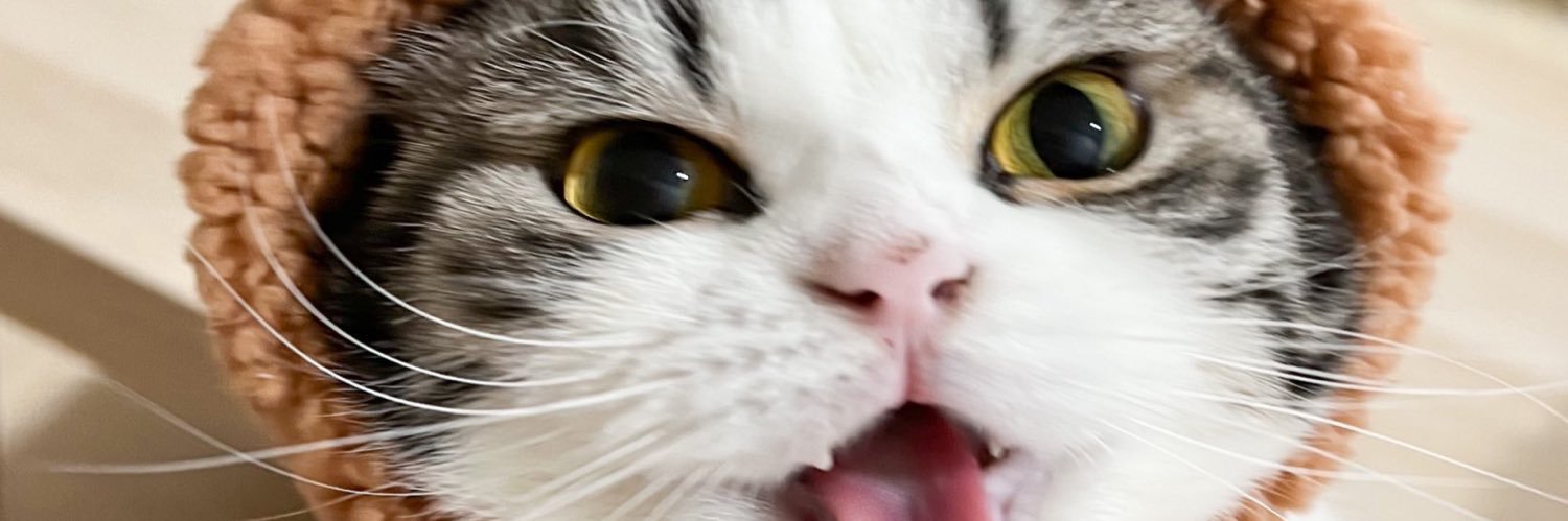 bethanybethyy's profile banner image