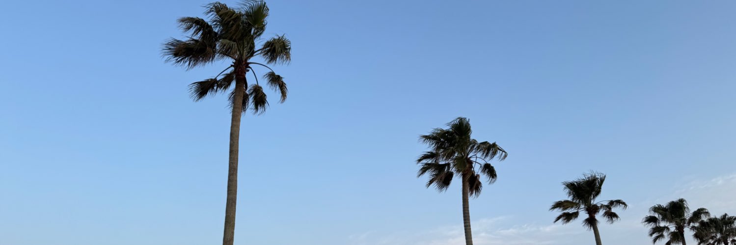 陵 banner