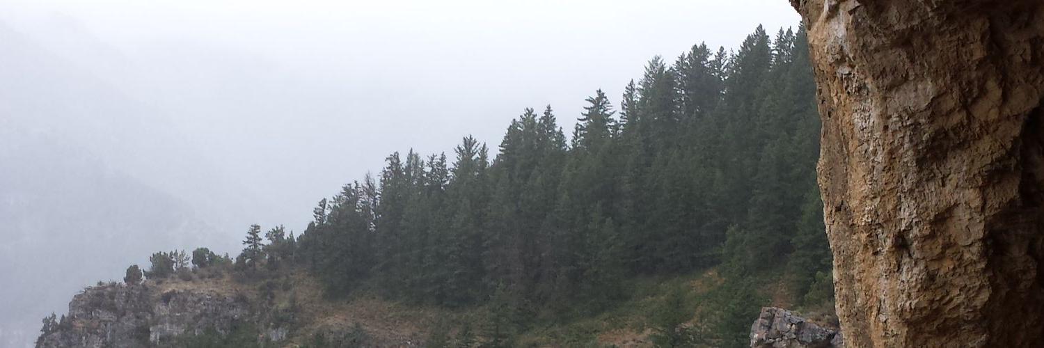 Mcfear's profile banner image