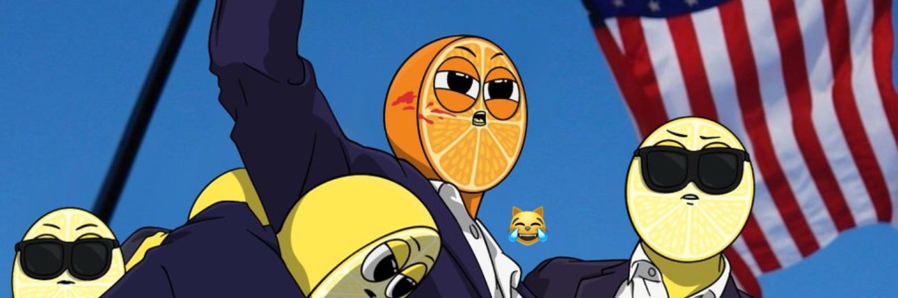 sBTCx's profile banner image