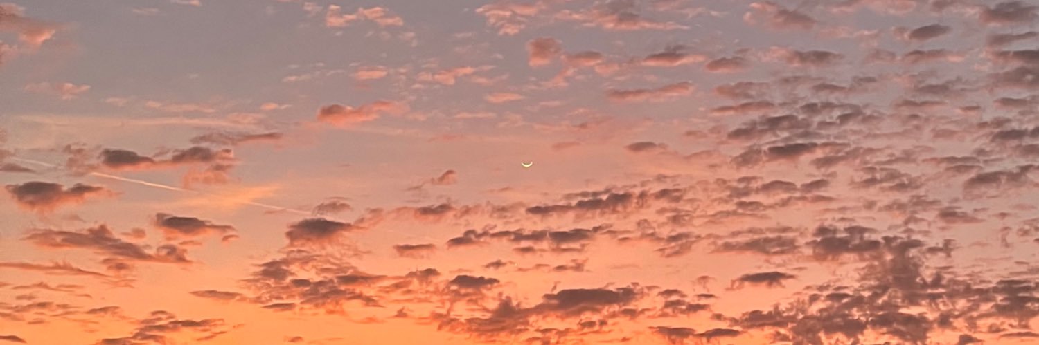 🍓 banner