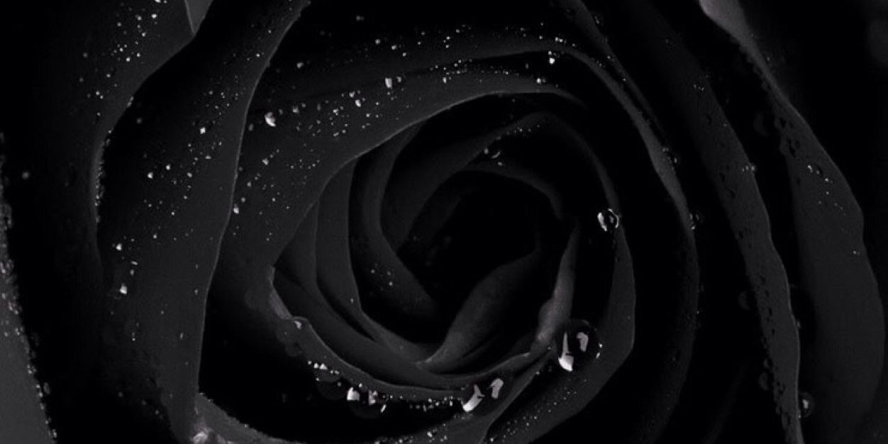 Jessica banner