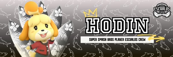 hodinPB Profile Banner