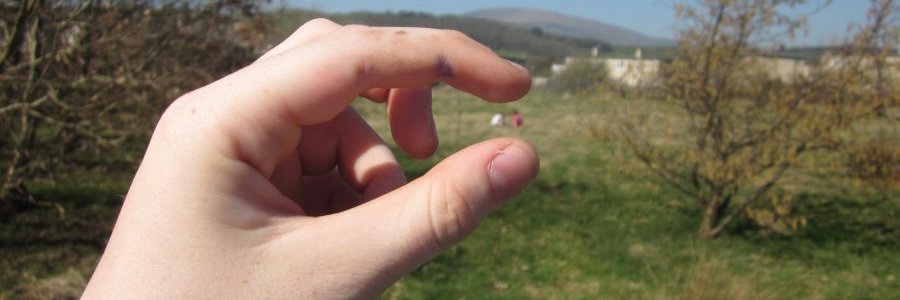 We Have Never Been Individuals banner