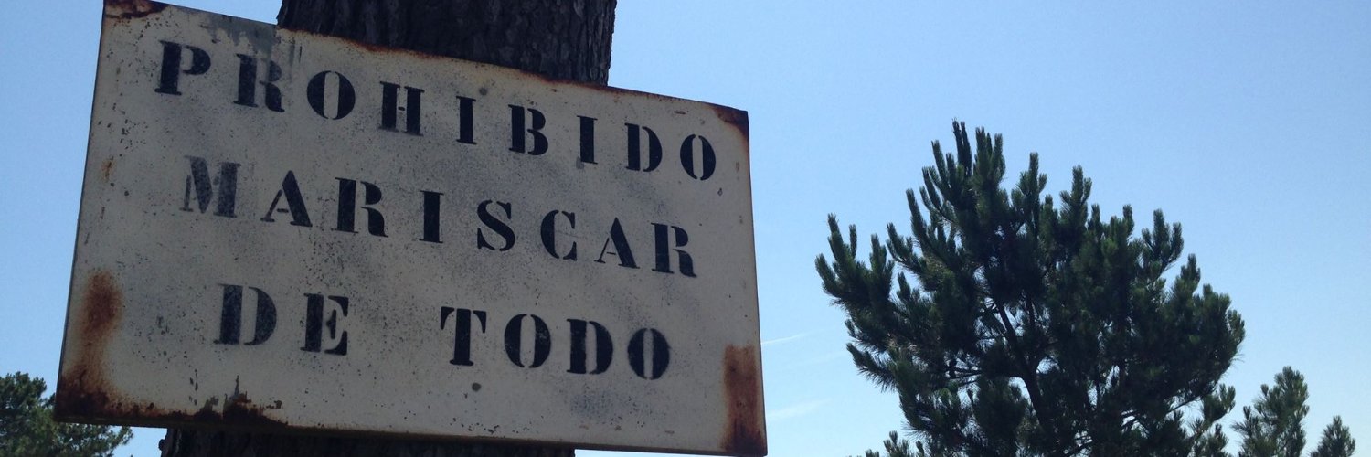 ToloDaBoina's profile banner image
