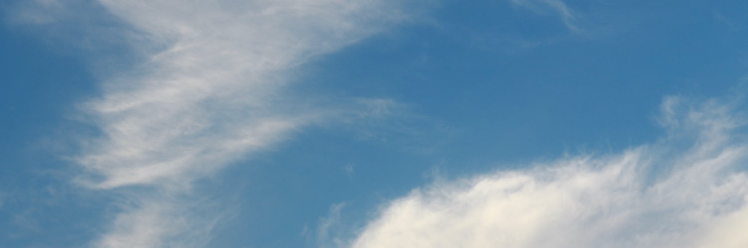 sunghotrue's profile banner image
