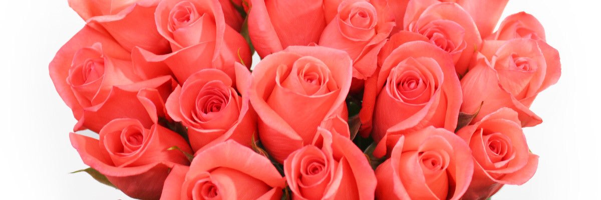 finewoman's profile banner image