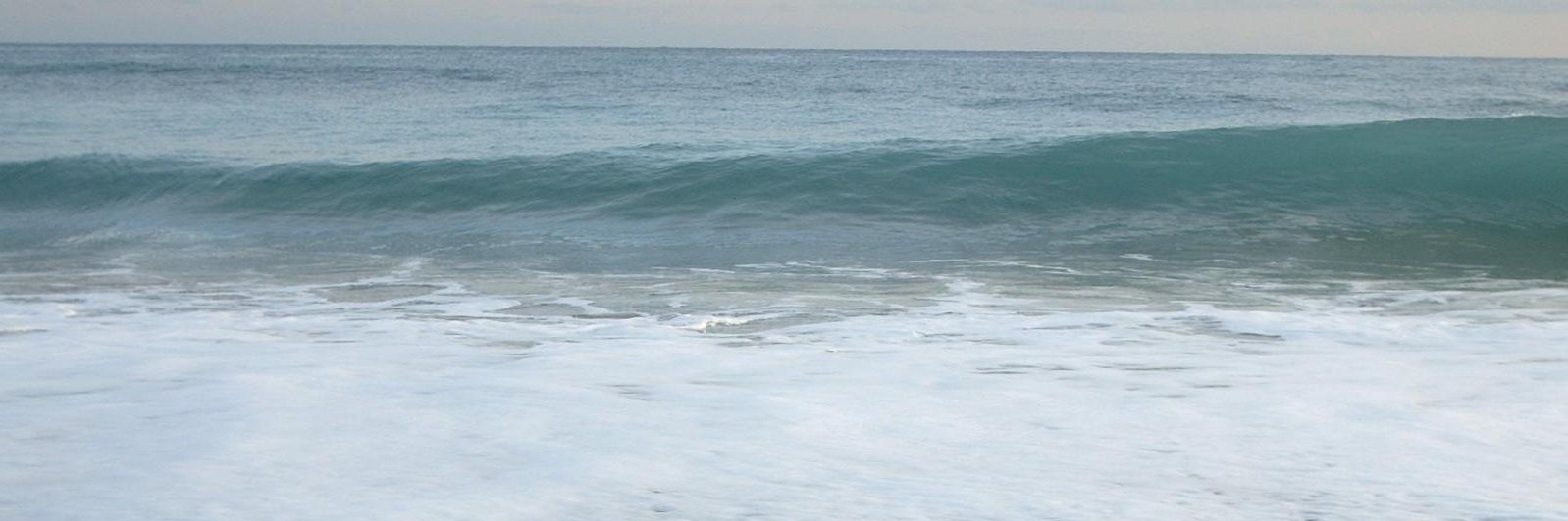 MonikaMDQ's profile banner image