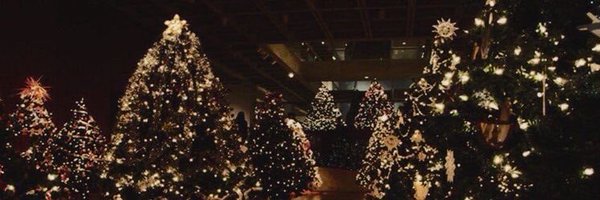 gracievee2 Profile Banner