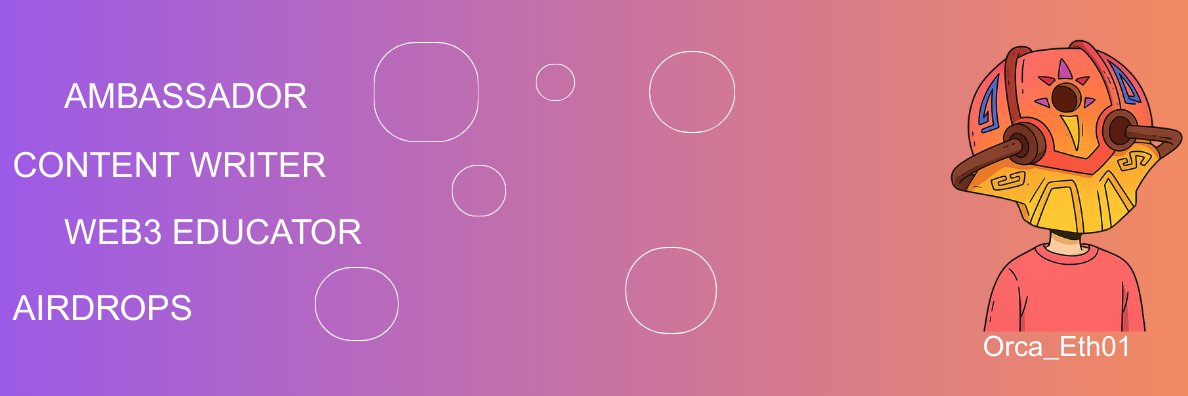 Orca_eth01's profile banner image