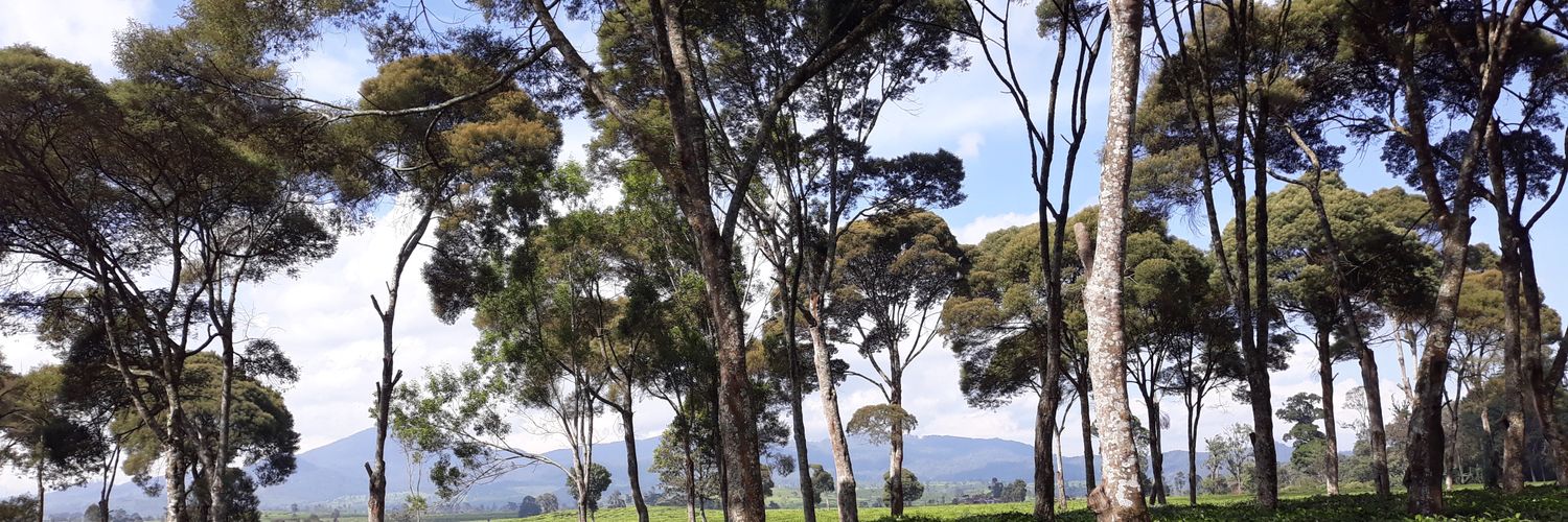 Dea Aisyah R. banner