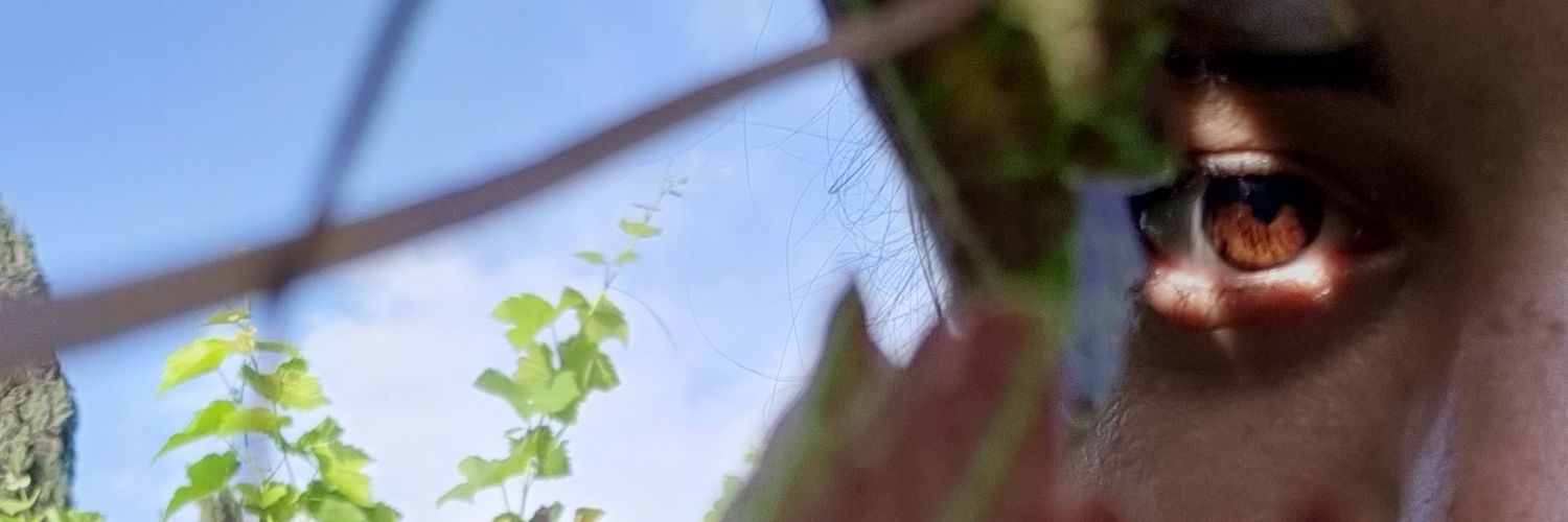 · ᴀʀɪᴀᴅɴᴀ · banner