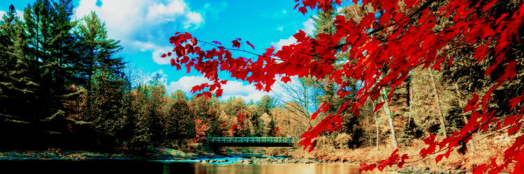 ChristinaMenac's profile banner image