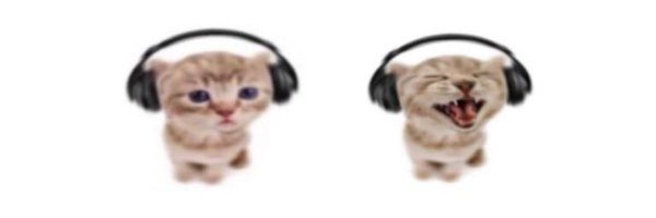 _blixify Profile Banner