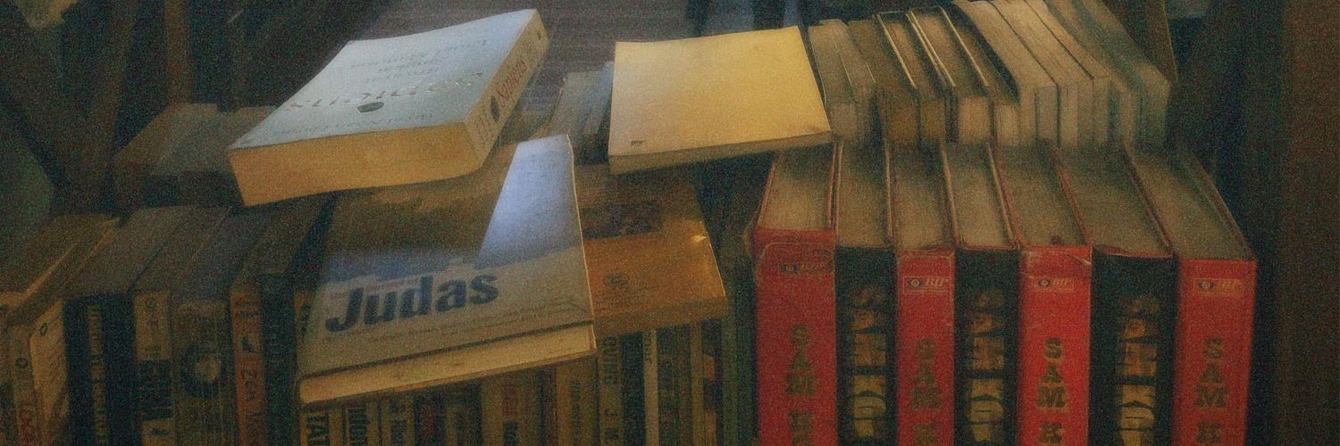 sopi ₊˚🎧⊹ banner