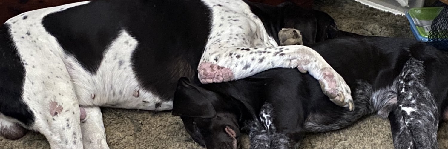 Maverick Blue banner