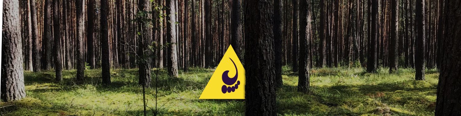 xekcc's profile banner image