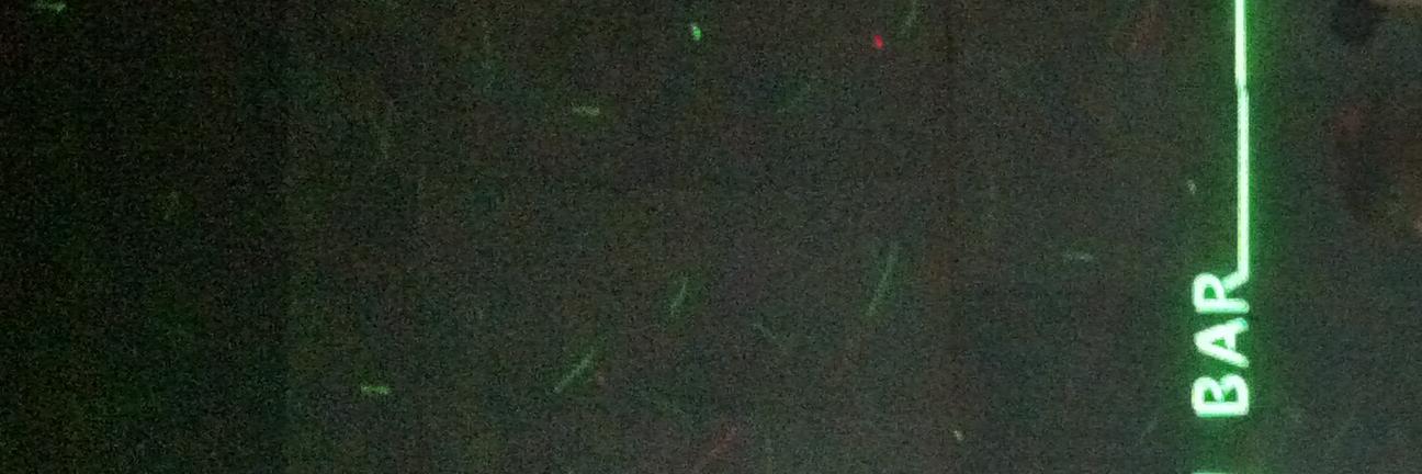 riedelinski1's profile banner image