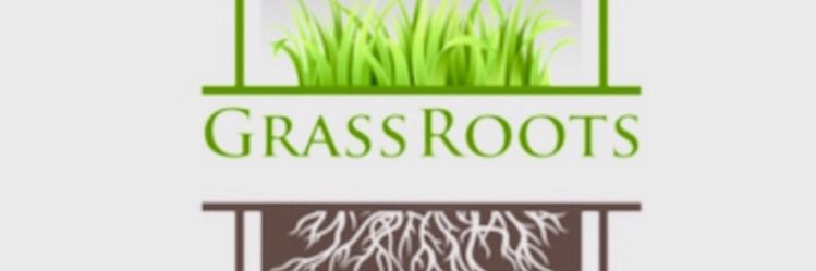 dangrassroots's profile banner image