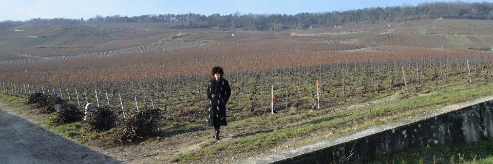 Kimberly Charles banner