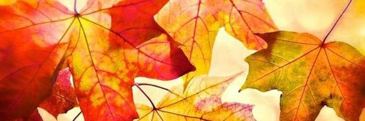 bd_7869's profile banner image