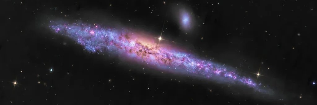 *氵ﾛ𠂊龴教゙授゙@🦖🍃🥜と🍞🌐 banner