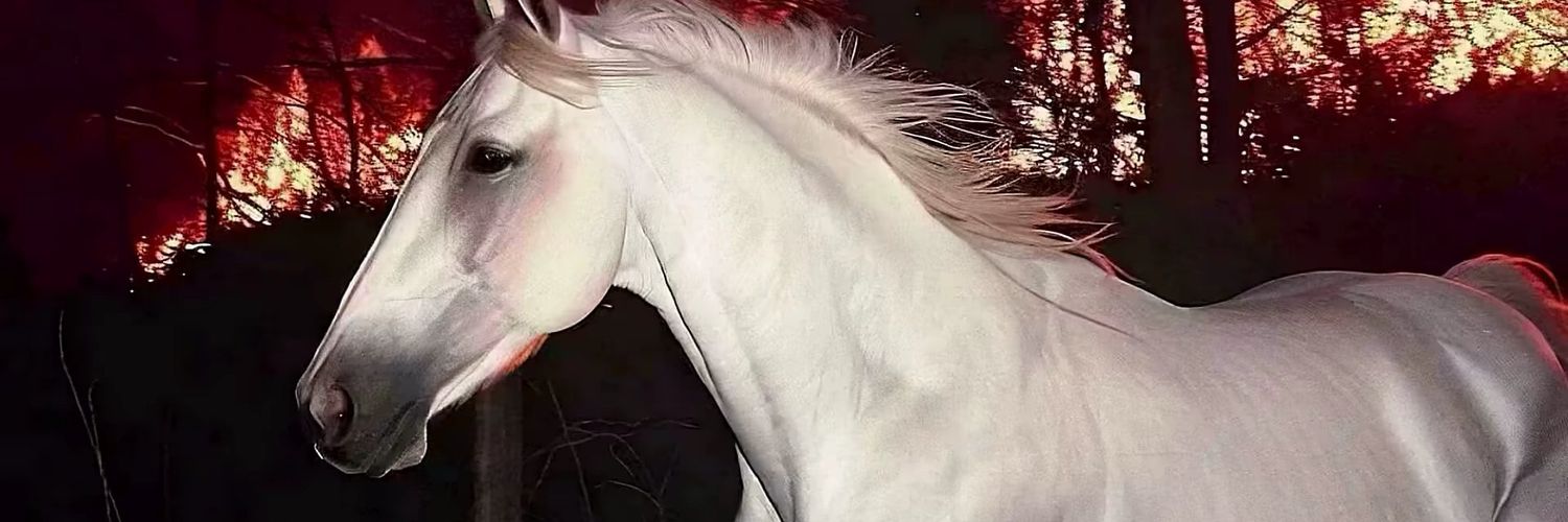 x banner