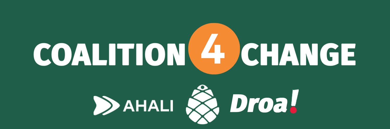 Coalition 4 Change 🇬🇪🇪🇺's banner