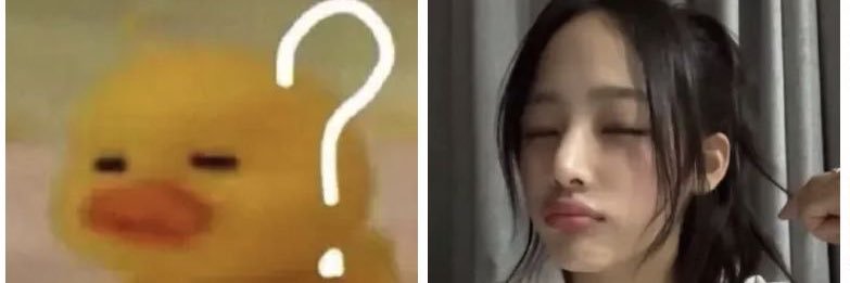 _jialifish's profile banner image