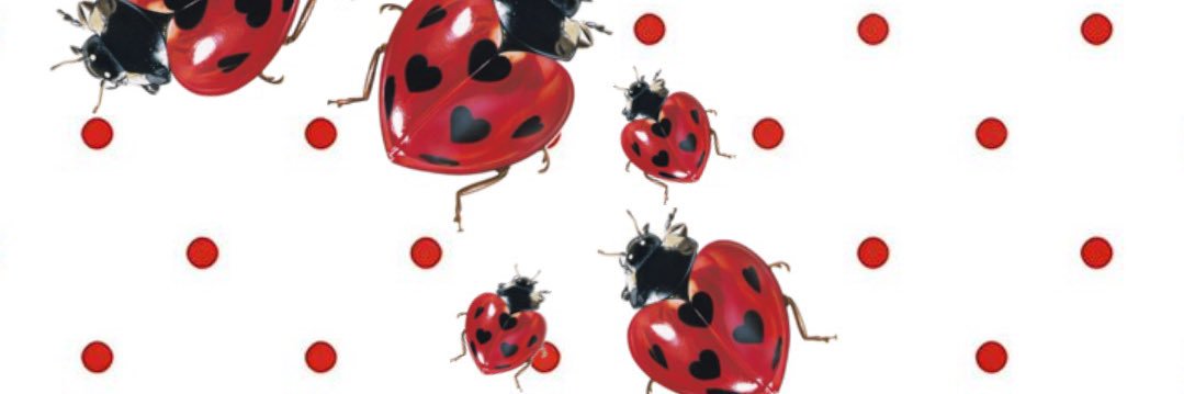 lex🐞 banner