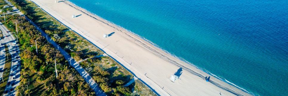 Alex Porcelli banner