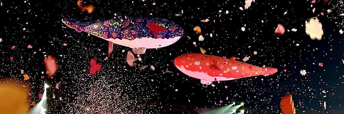 sunkitzzed's profile banner image
