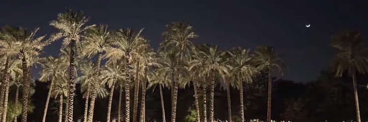 alshmry63387's profile banner image