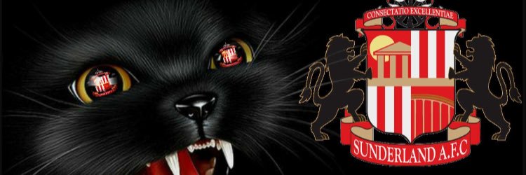 safc761's profile banner image