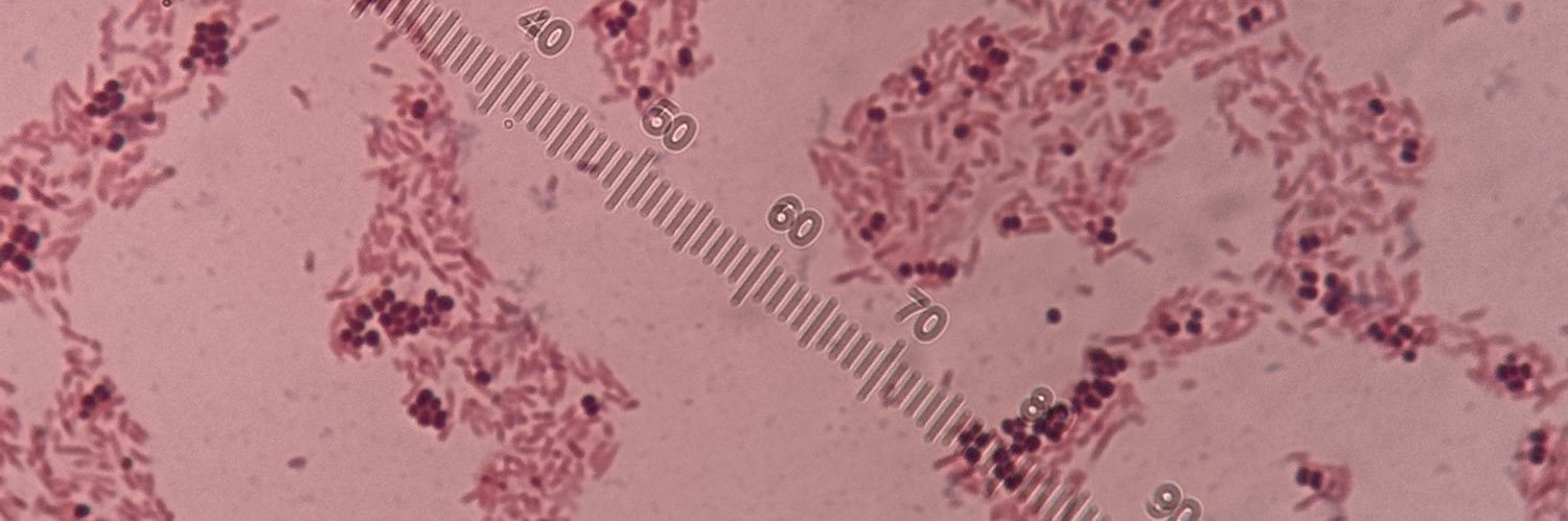 Moe | 18+ | 🐾 banner